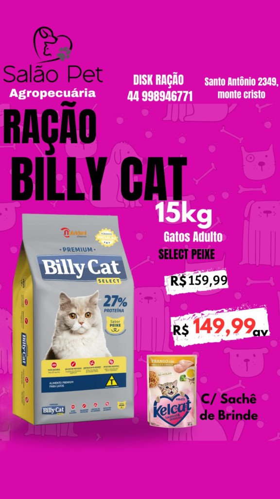 Billy Cat gatos adultos sabor Peixe