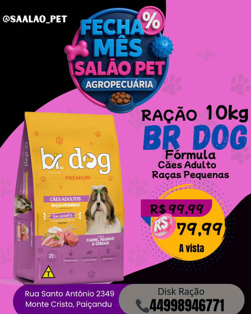 BR DOG RAÇAO 10KG 